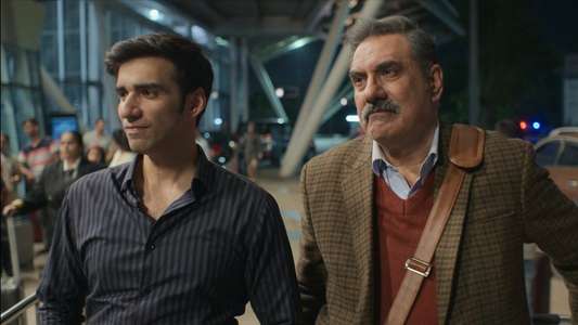 The Mehta Boys - Backdrops
