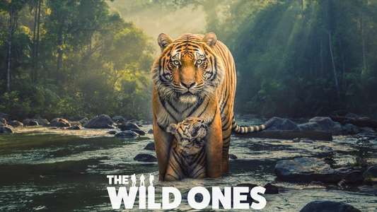 The Wild Ones - Backdrops