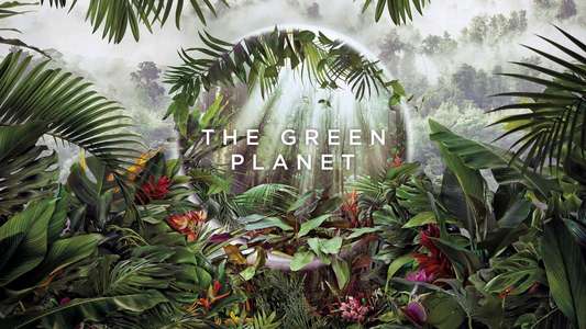 The Green Planet - Backdrops