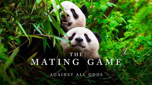 The Mating Game - Backdrops