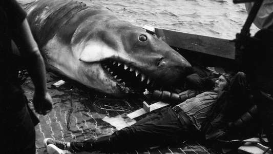 Jaws @ 50: The Definitive Inside Story - Backdrops