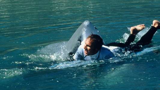 Shark Attack 2 - Backdrops