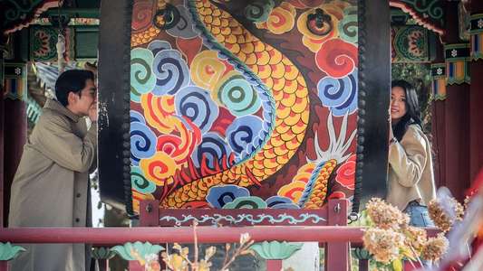 Light Shop - Backdrops