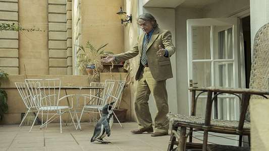The Penguin Lessons - Backdrops