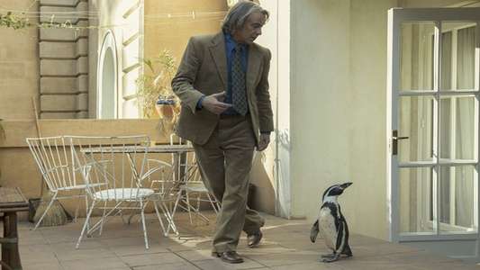 The Penguin Lessons - Backdrops