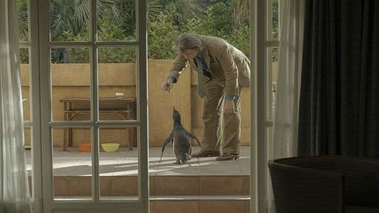 The Penguin Lessons - Backdrops