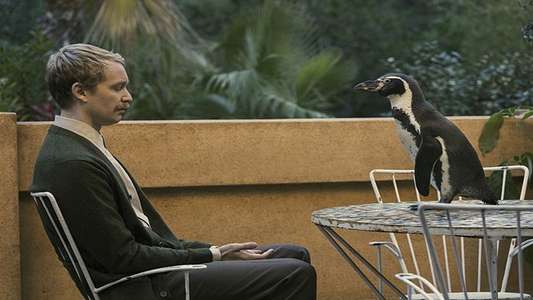 The Penguin Lessons - Backdrops
