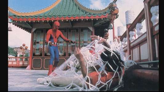 Spider-Man: The Dragon's Challenge - Backdrops