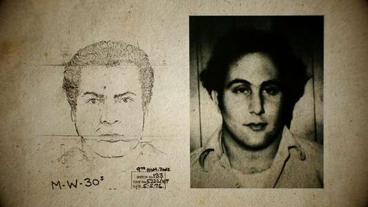 Conversations with a Killer: The Son of Sam Tapes - Backdrops