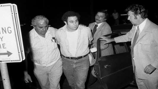 Conversations with a Killer: The Son of Sam Tapes - Backdrops