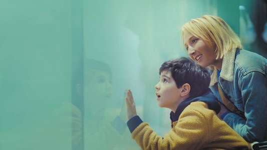 A Mother's Special Love - Backdrops