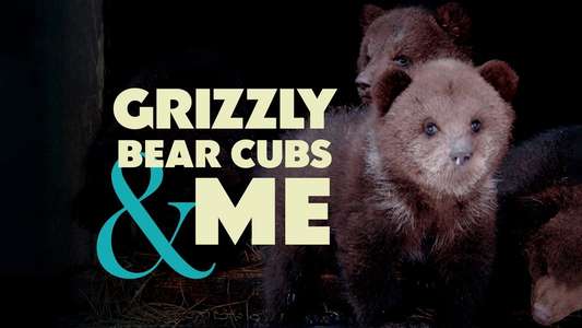 Grizzly Bear Cubs and Me - Backdrops
