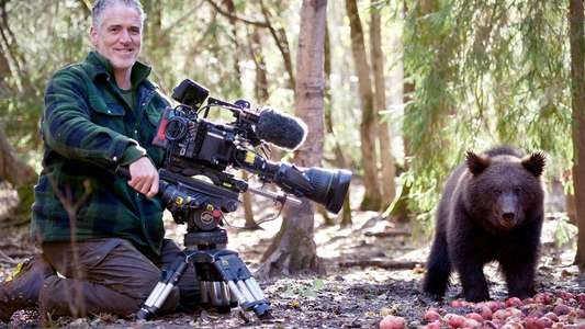 Grizzly Bear Cubs and Me - Backdrops