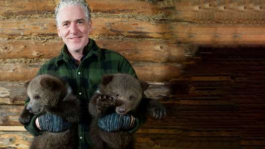 Grizzly Bear Cubs and Me - Backdrops