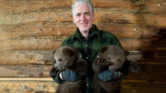 Grizzly Bear Cubs and Me - Backdrops