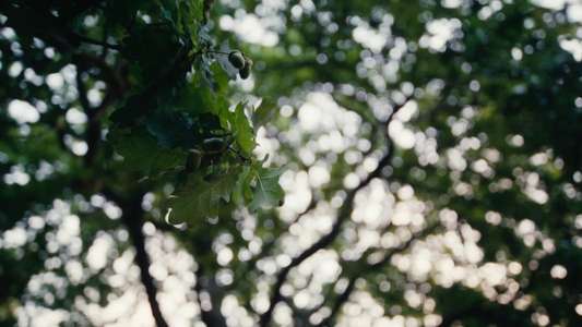 Together - Backdrops