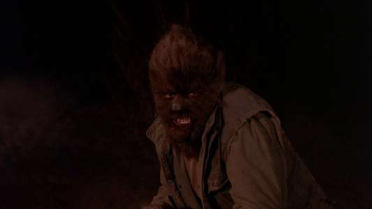 Werewolves on Wheels - Backdrops