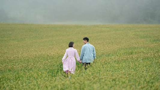 When Life Gives You Tangerines - Backdrops