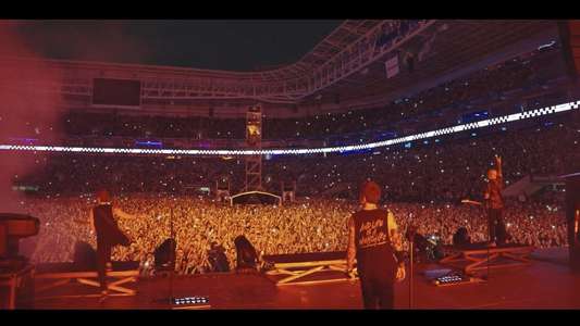 Simple Plan: The Kids in the Crowd - Backdrops