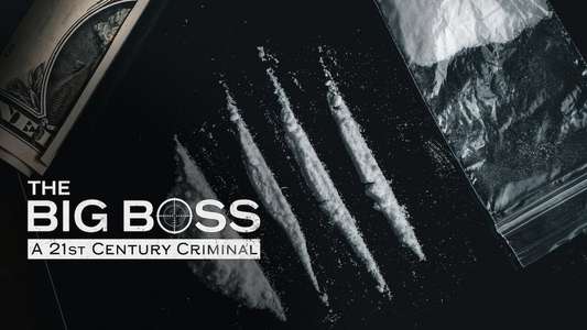 The Big Boss: A 21st Century Criminal - Backdrops