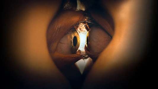 Together - Backdrops