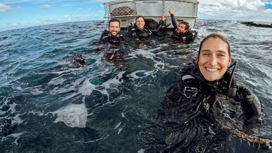 Shipwreck Hunters Australia - Backdrops
