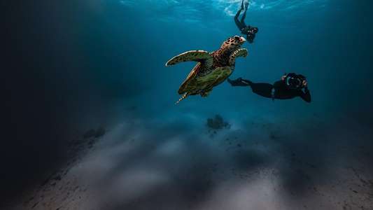 Shipwreck Hunters Australia - Backdrops