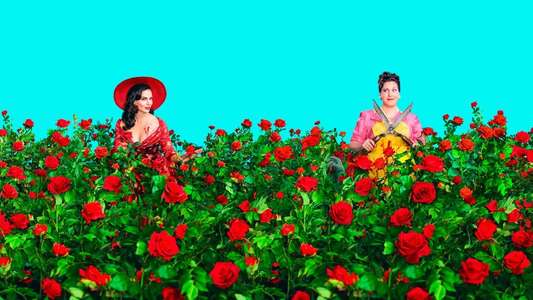 Why Women Kill - Backdrops