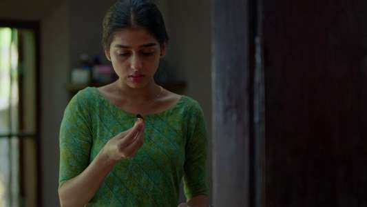 Vyasanasametham Bandhumithradhikal - Backdrops