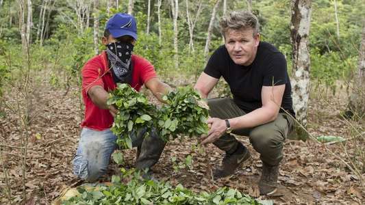 Gordon Ramsay on Cocaine - Backdrops