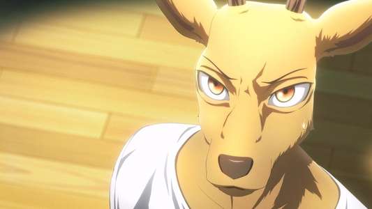 BEASTARS - Backdrops