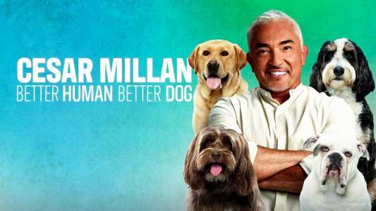 Cesar Millan: Better Human Better Dog - Backdrops