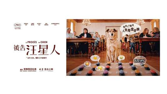 Dog on Trial - Backdrops