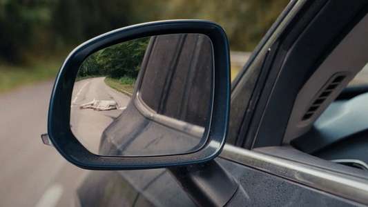 Death of a Unicorn - Backdrops