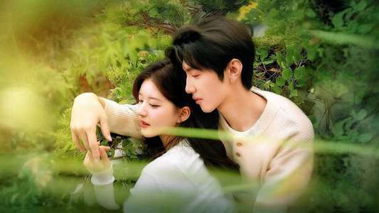 Hidden Love - Backdrops