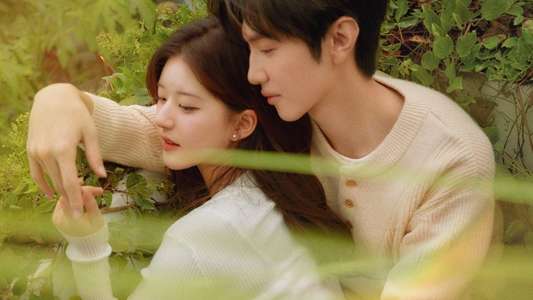 Hidden Love - Backdrops