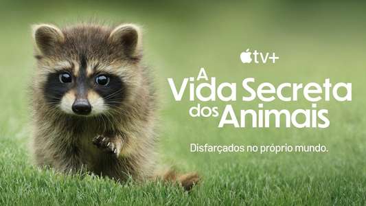 The Secret Lives of Animals - Backdrops