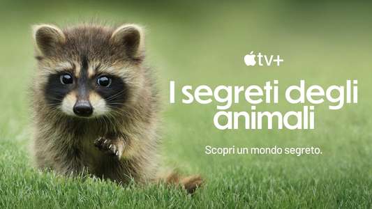 The Secret Lives of Animals - Backdrops