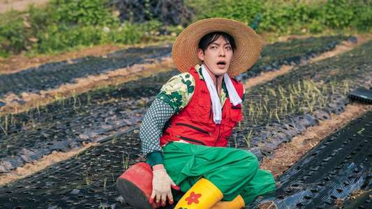 Genie  Make a Wish - Backdrops