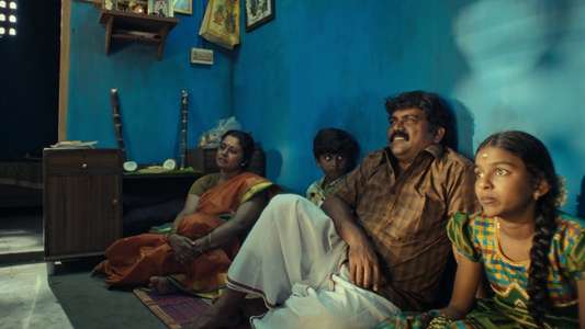 Madras Matinee - Backdrops