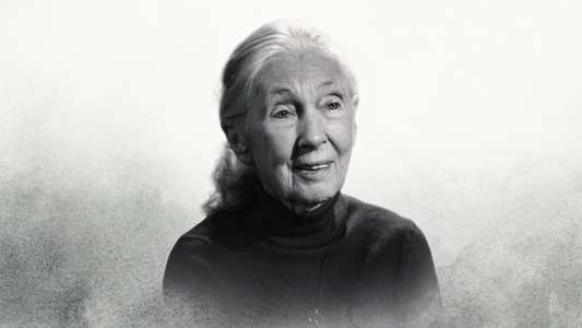 Famous Last Words: Dr. Jane Goodall - Backdrops