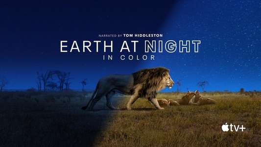 Earth At Night In Color - Backdrops