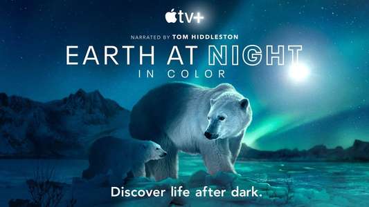 Earth At Night In Color - Backdrops