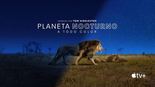 Earth At Night In Color - Backdrops