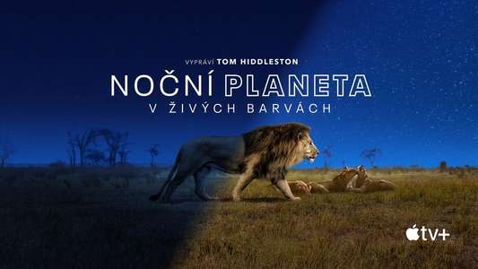 Earth At Night In Color - Backdrops