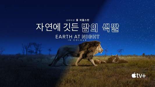 Earth At Night In Color - Backdrops