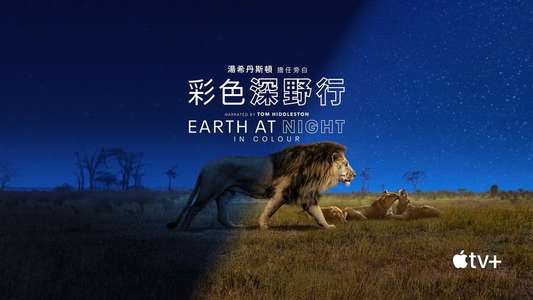 Earth At Night In Color - Backdrops