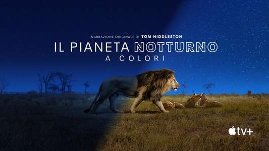Earth At Night In Color - Backdrops