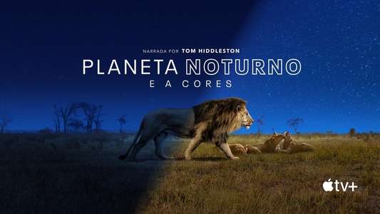 Earth At Night In Color - Backdrops