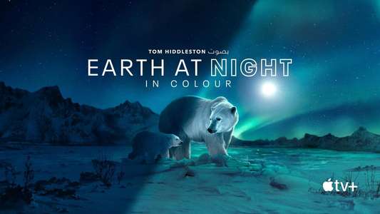 Earth At Night In Color - Backdrops